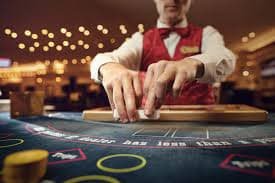 Live dealer rolling two dice on Colok Macau table at rajapoker88 pkv studio